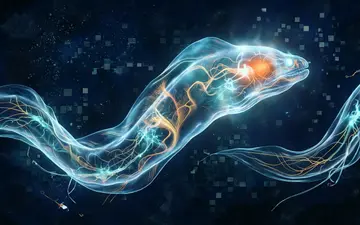 cosmic-fest-part2+t6zp/27 loop preview