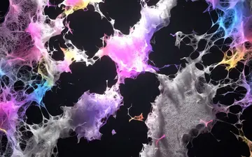 cosmic-fest+wwuy/1 loop preview
