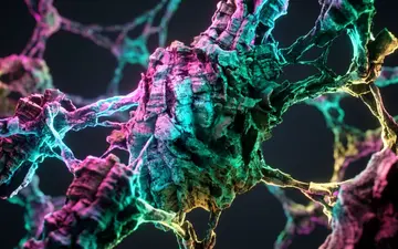 cosmic-fest+b8an/7 loop preview