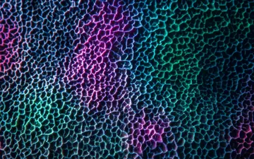 cosmic-fest+xuim/22 loop preview