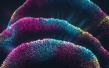 cosmic-fest+sbms/17 loop preview