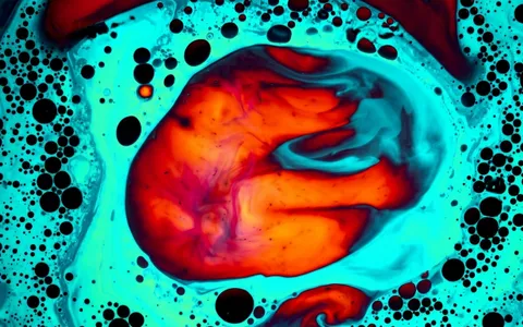 cosmodernism+cvki/24 loop preview