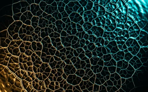 cymatics+mvg7/12 loop preview