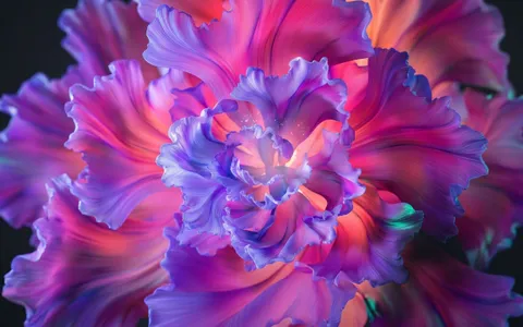 flowers+5p6j/10 loop preview
