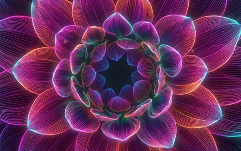 flowers+ak3x/17 loop preview