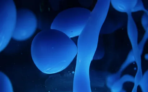 lava-lamp+gyhs/10 loop preview