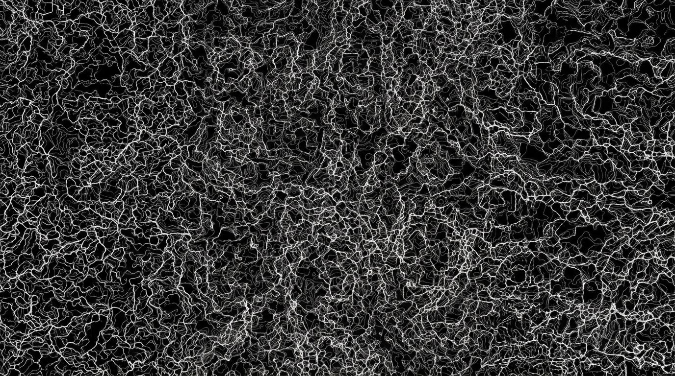 patterns+noom/5 loop preview