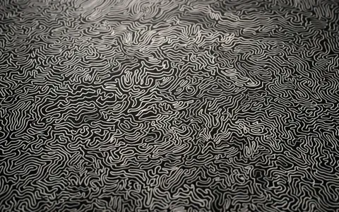 patterns+6qkg/6 loop preview