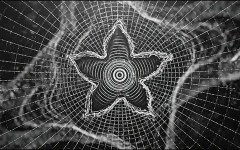 point-cloud-geometric+78ik/3 loop preview