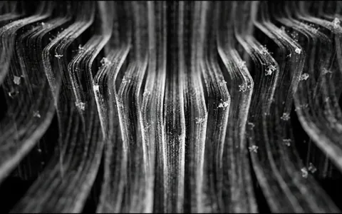 point-cloud-particles+oljv/21 loop preview