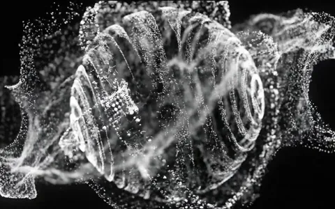 point-cloud-particles+pb2v/19 loop preview