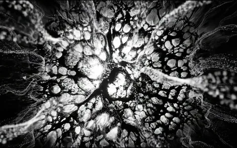 point-cloud-swirling-02+zc55/9 loop preview