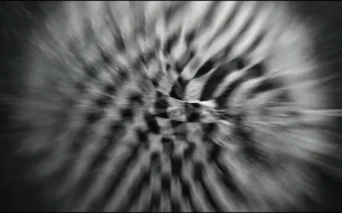point-cloud-swirling-02+nfn5/11 loop preview
