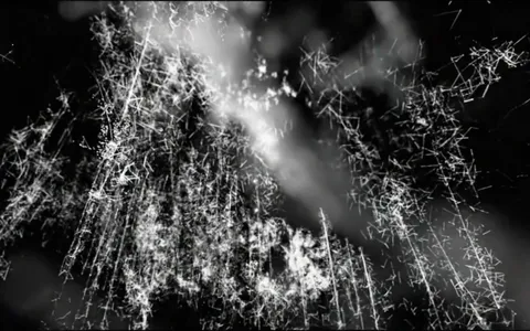 point-cloud-swirling-02+8nwn/5 loop preview