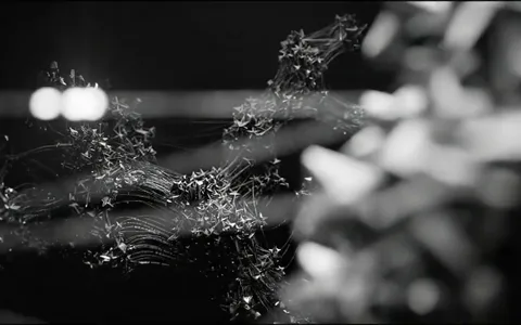 point-cloud+t6k8/19 loop preview