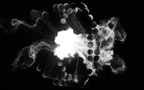 point-cloud+69z0/14 loop preview