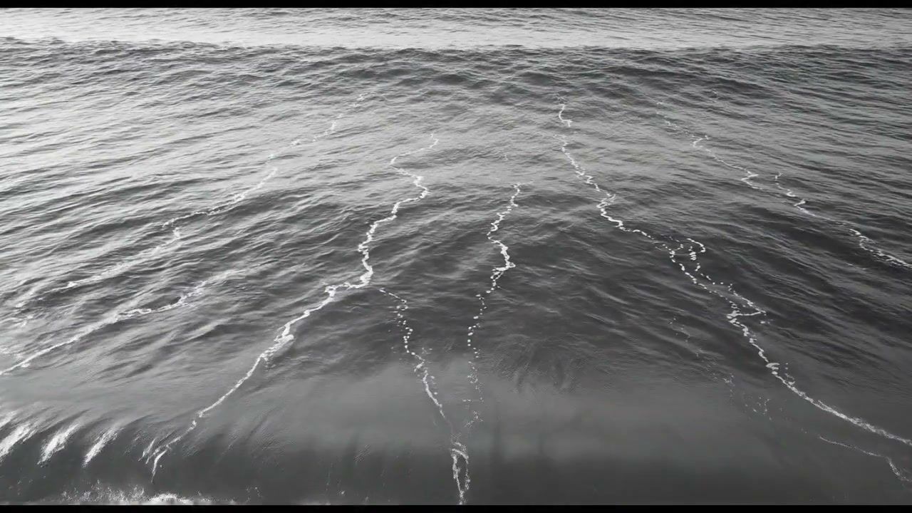 point-cloud+4mp2/4 loop preview