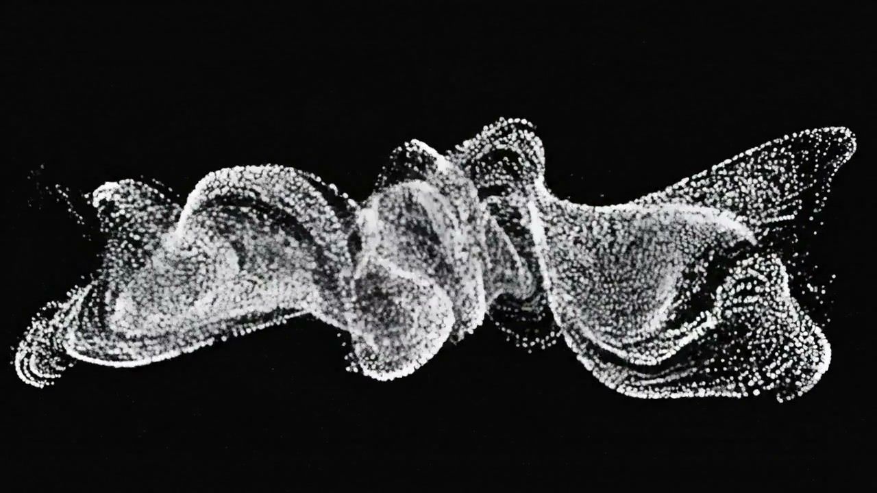 point-cloud+r5fx/24 loop preview