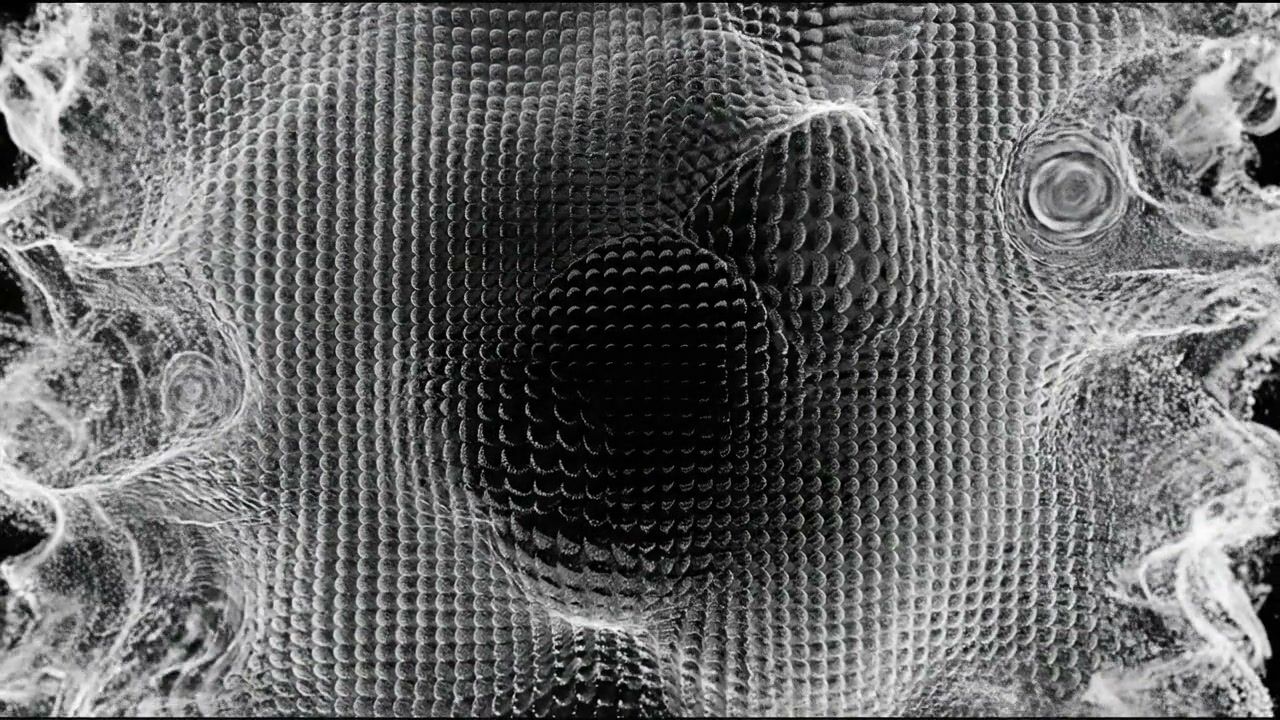 point-cloud+py1d/31 loop preview