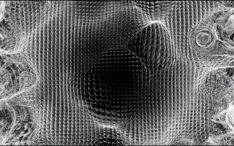point-cloud+py1d/31 loop preview