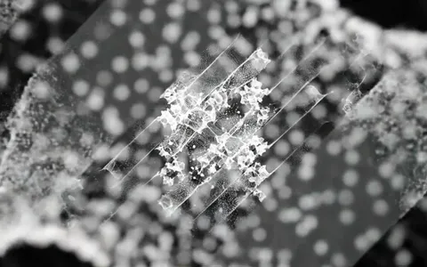 point-cloud+ykgx/18 loop preview