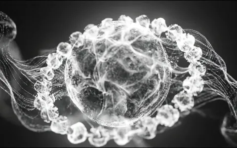 point-cloud+it47/20 loop preview