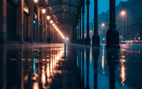 rainy-city-night+2vnr/26 loop preview