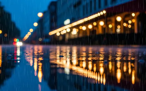 rainy-city-night+6u3o/25 loop preview