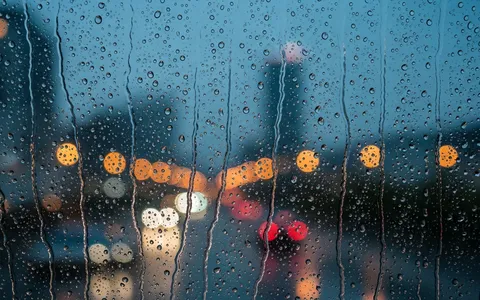 rainy-city-night+mmia/19 loop preview