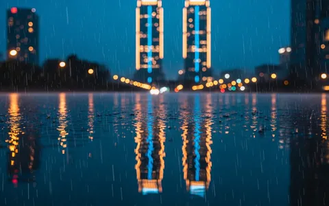 rainy-city-night+bi9u/9 loop preview