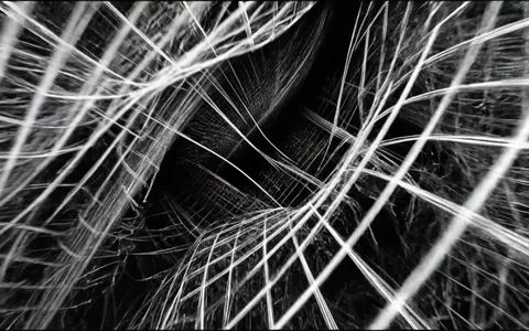 white-hole-abstract+fhhz/11 loop preview