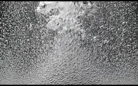 white-hole-fluid+vzzq/23 loop preview