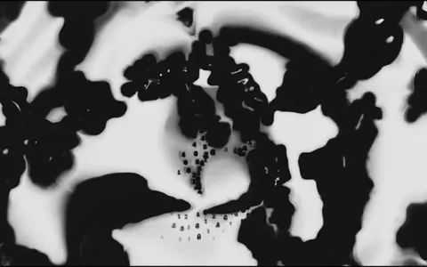 white-hole-fluid+cpas/9 loop preview
