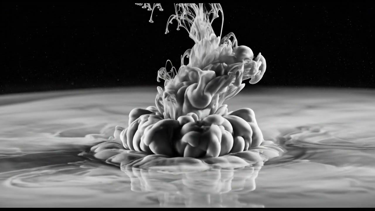white-hole-fluid+evcl/1 loop preview
