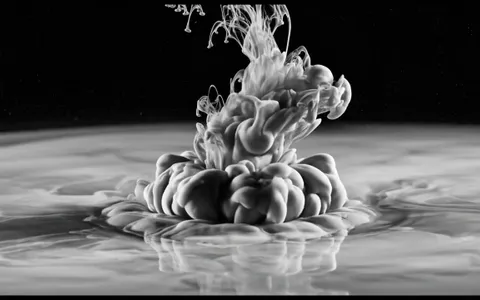 white-hole-fluid+evcl/1 loop preview