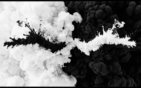 white-hole-fluid+69ud/4 loop preview