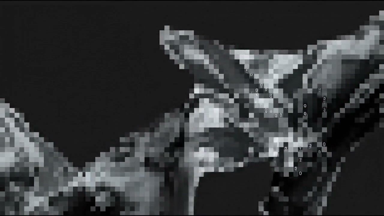 white-hole-fragmented+obie/23 loop preview