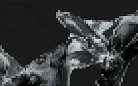 white-hole-fragmented+obie/23 loop preview