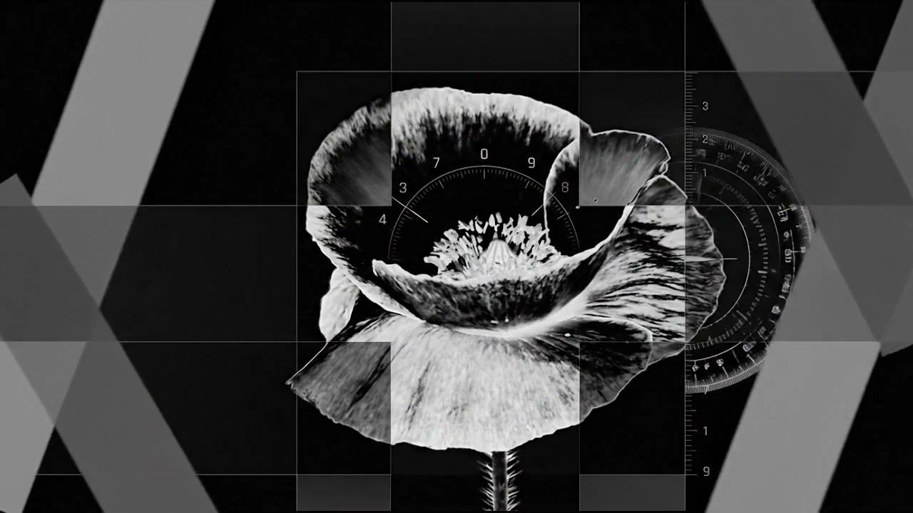 white-hole-fragmented+gu9h/21 loop preview