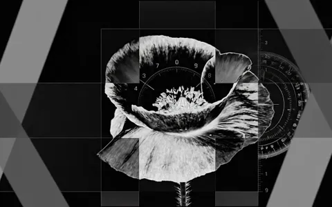 white-hole-fragmented+gu9h/21 loop preview