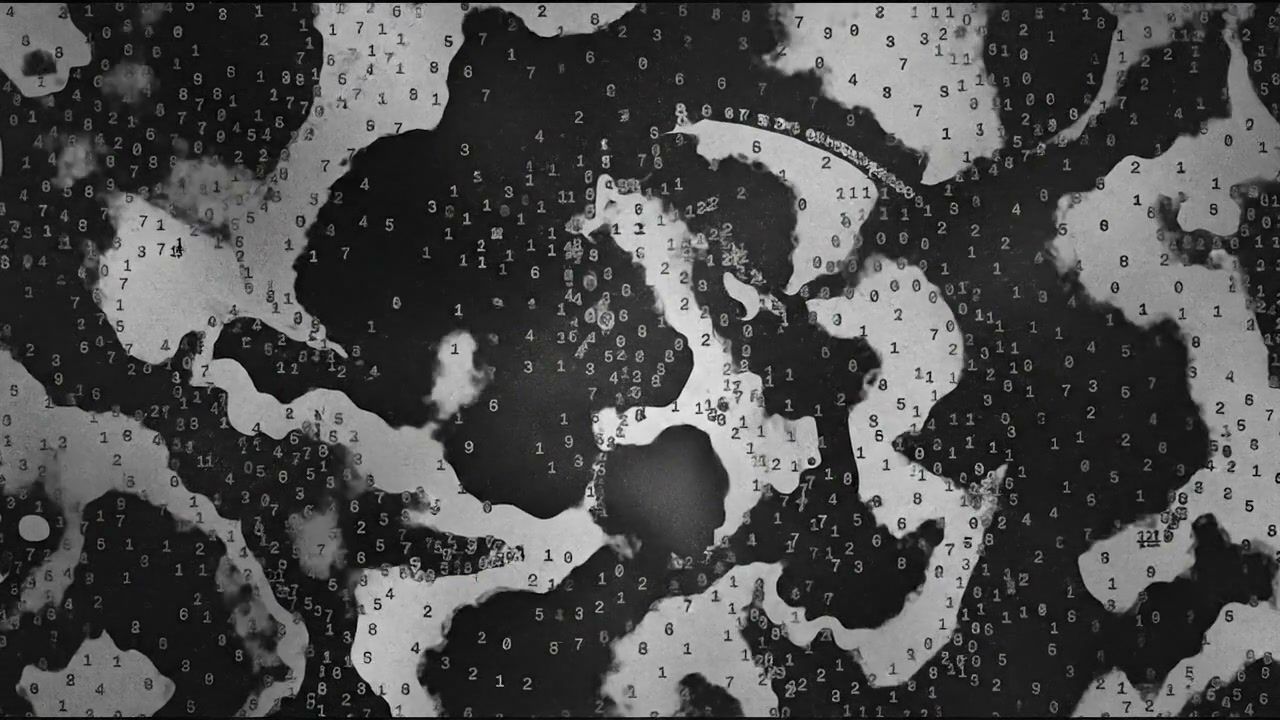 white-hole-fragmented+3hll/19 loop preview