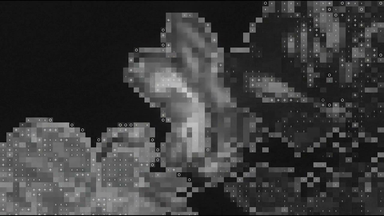 white-hole-fragmented+p8g5/18 loop preview