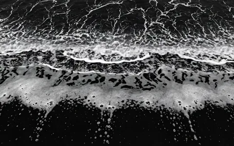 white-hole-nature+r3xf/11 loop preview