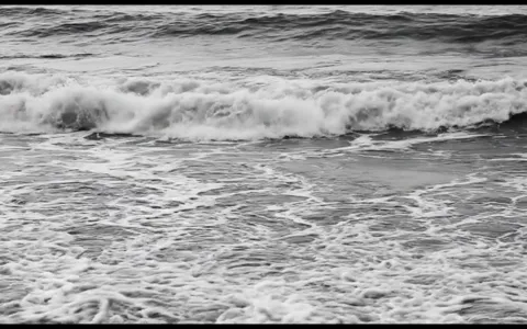 white-hole-nature+8vdc/15 loop preview