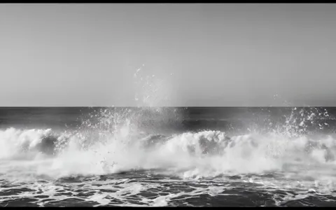 white-hole-nature+d4uz/16 loop preview