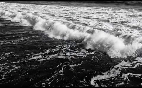 white-hole-nature+8n4h/12 loop preview