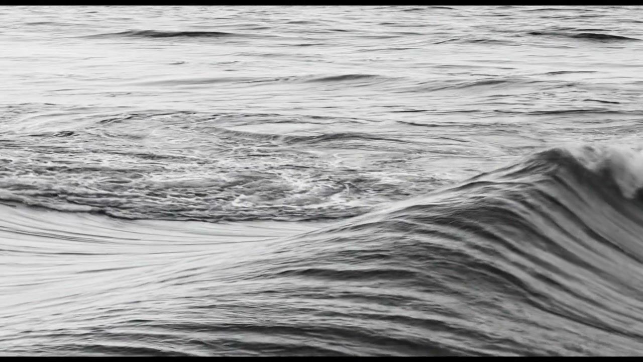 white-hole-nature+7hjs/19 loop preview