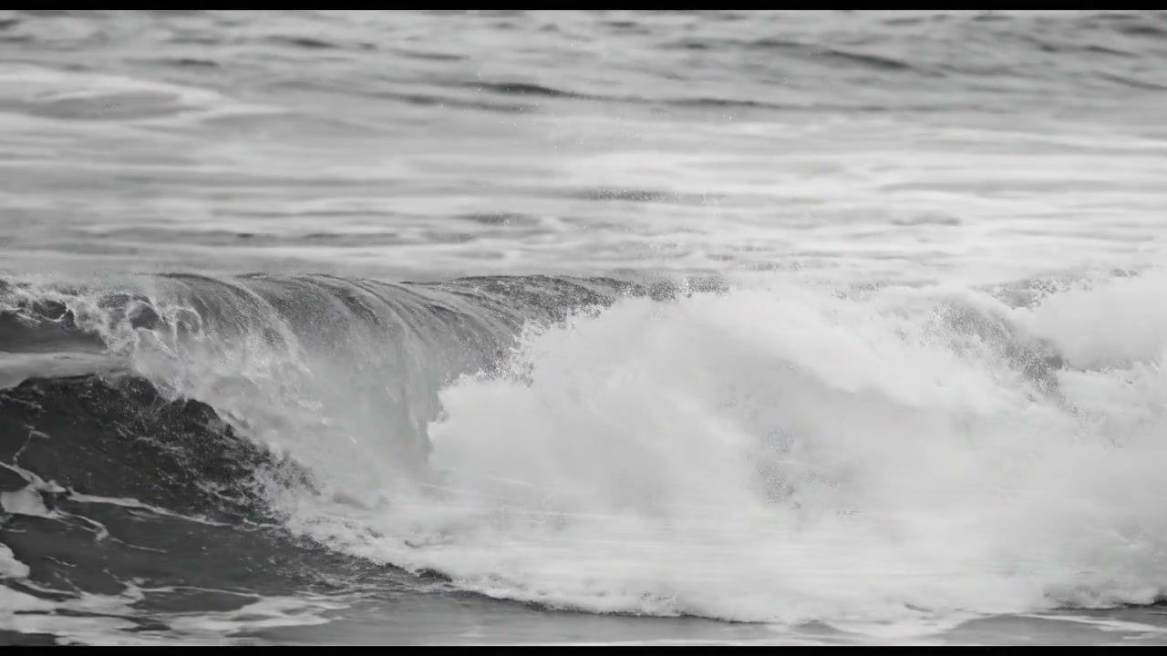 white-hole-nature+oh97/18 loop preview
