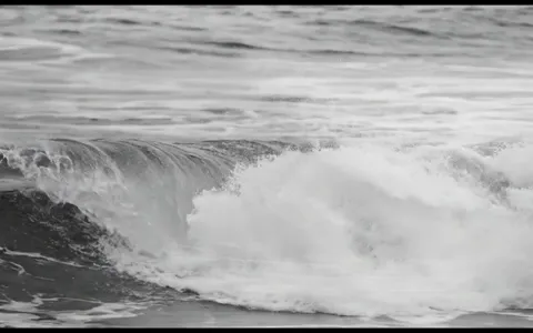 white-hole-nature+oh97/18 loop preview