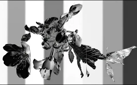 white-hole-organic+paoj/13 loop preview